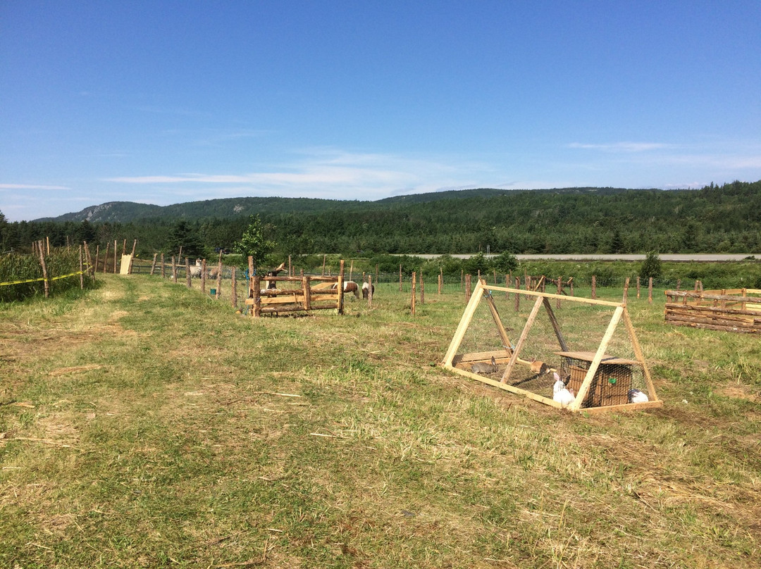 Ferme du Porc-Pic-Saint-Simon必去景点