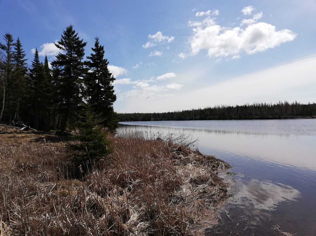 A B&b By The River主图