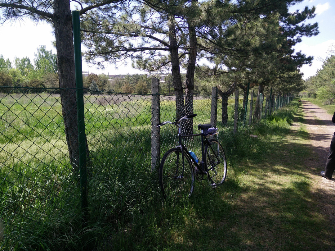 Yerevan Botanical Garden-埃里温必去景点