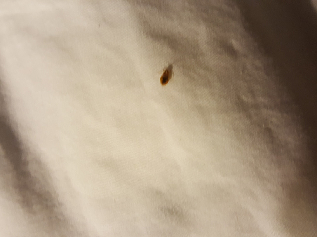 Texas Lodge Kenedy主图