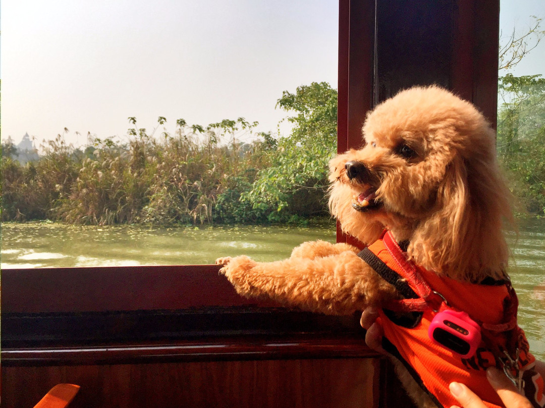 下渚湖风景区-德清县必去景点