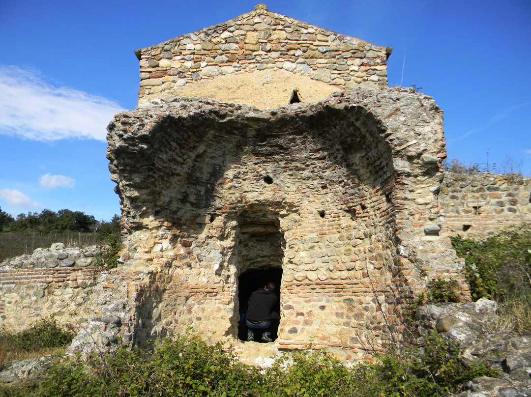 Villa Romana Imperiale景点图片
