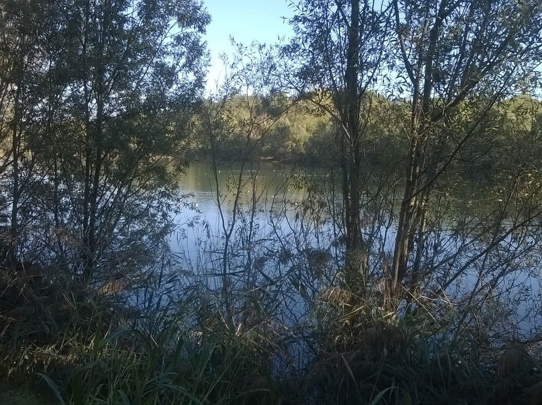 Parco "Il Lago" di Altavilla Vicentina景点图片
