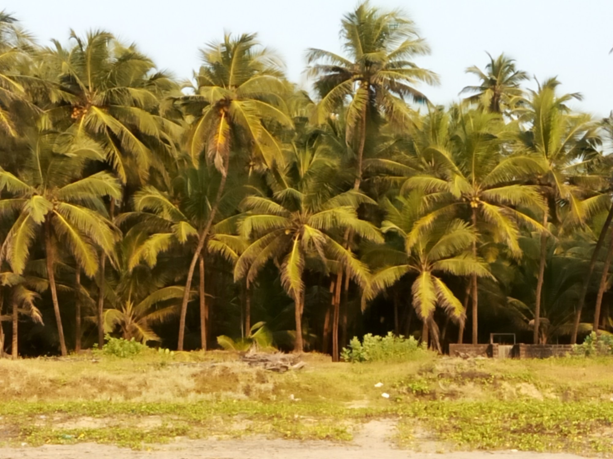 Osari Homestay-泳池