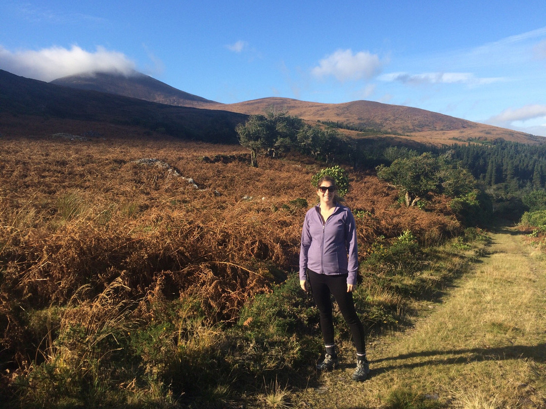 O'Sullivan's Cascade-基拉尼必去景点