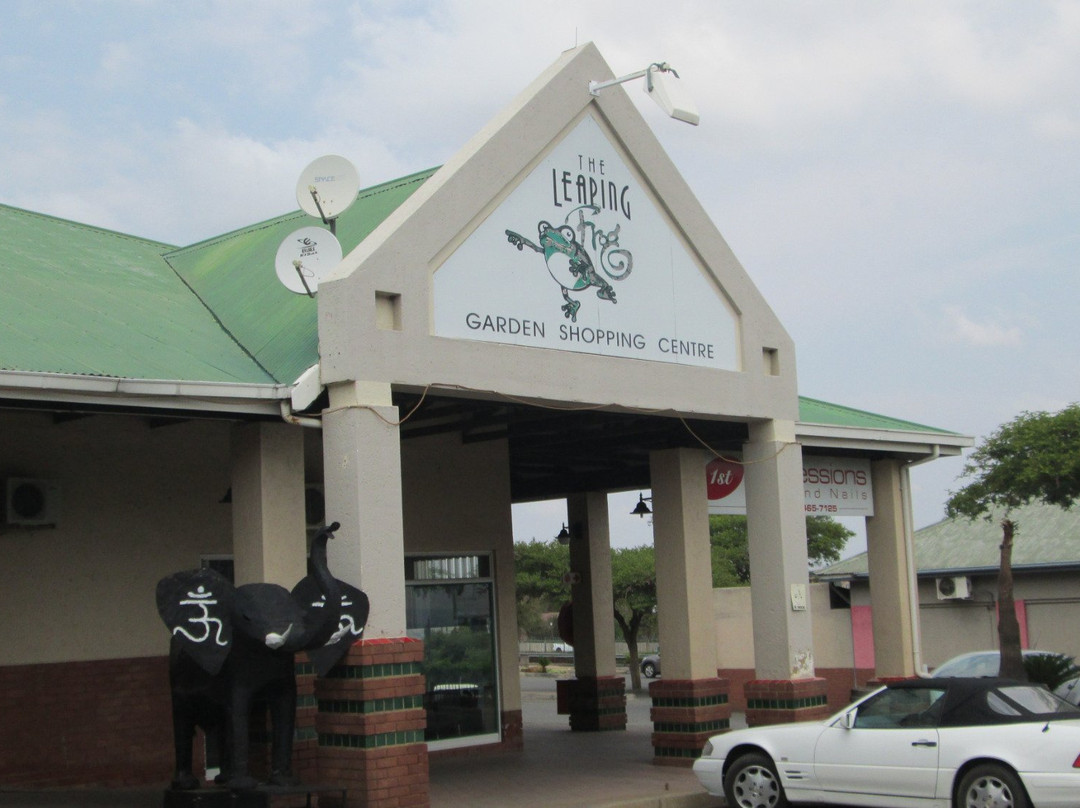 Leaping Frog Shopping Centre-桑顿必去景点