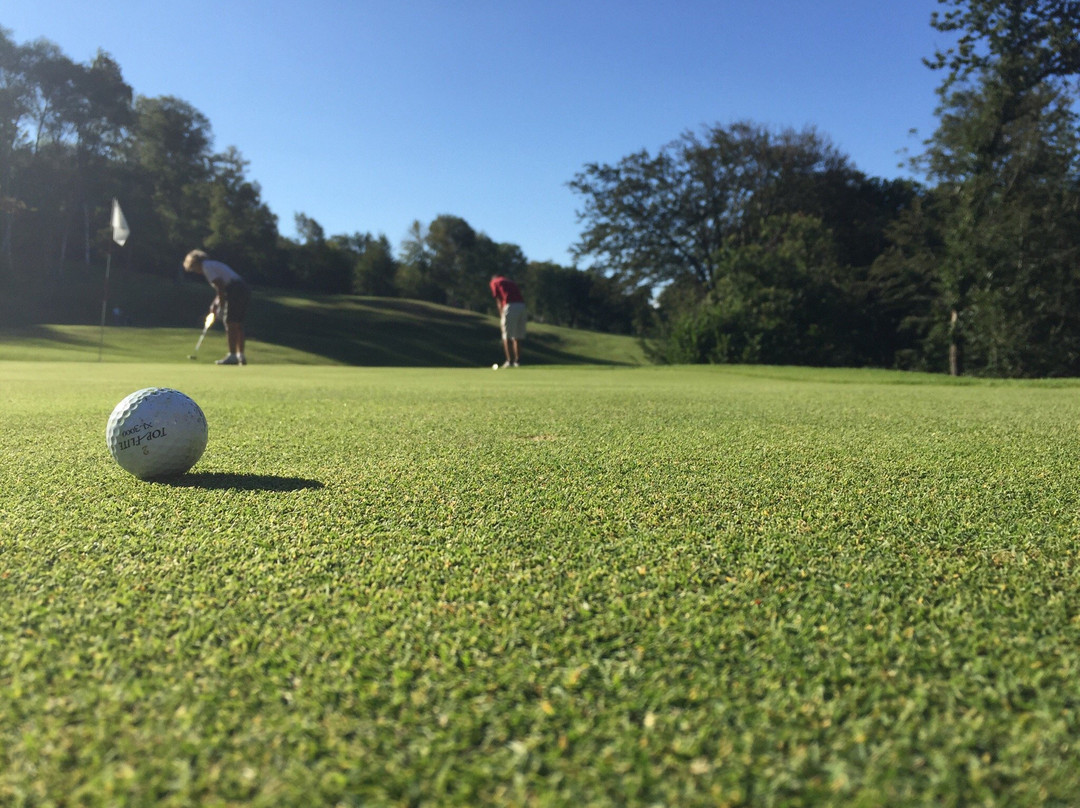 Golf Club Alpino di Stresa景点图片