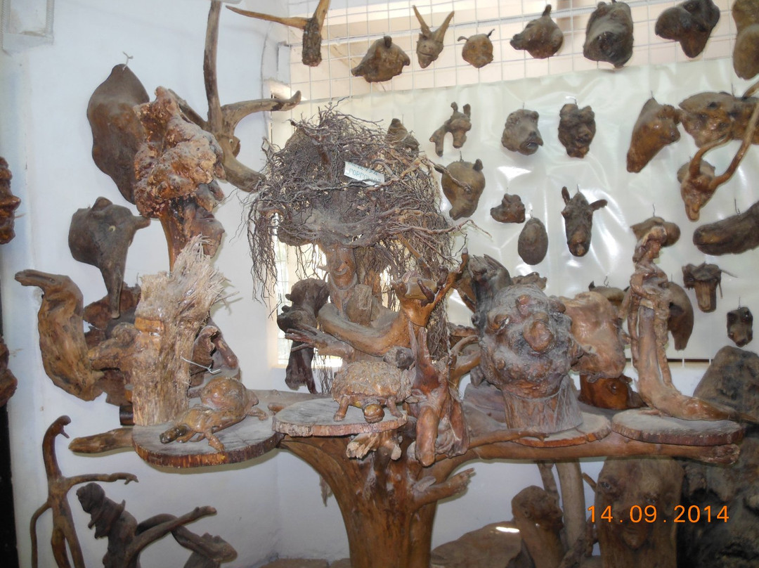 Museum Prichudy Lesa景点图片