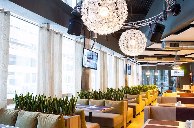 Drozdovo餐馆和美食-Terra Pizza