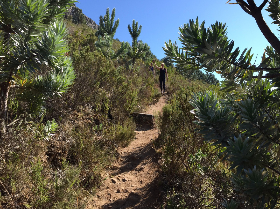 Table Mountain Hiker景点图片