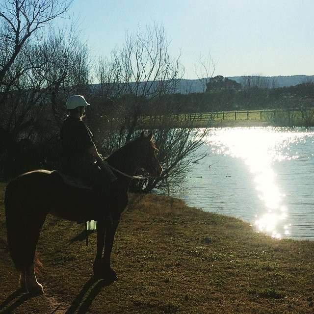 Sydney Trail Riding Centre景点图片