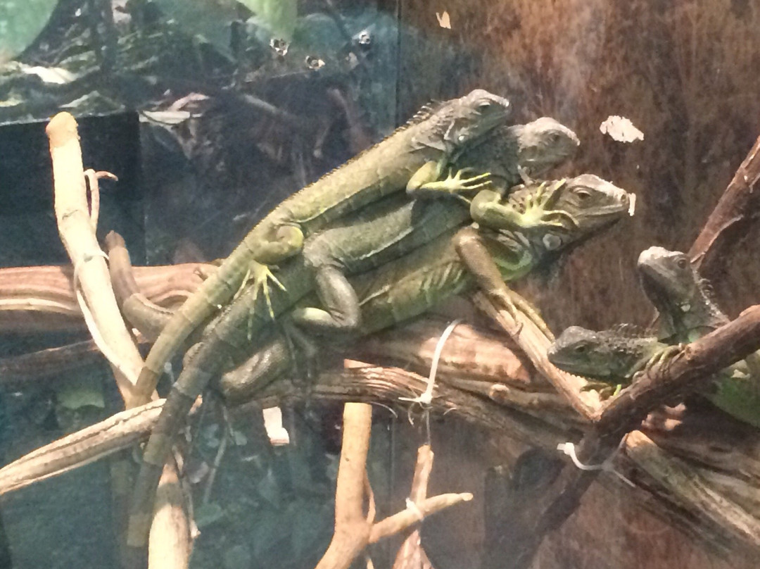 CEVAP unesp-Botucatu必去景点