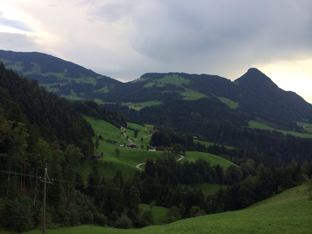 Hotel & Alpengasthof Pinzgerhof