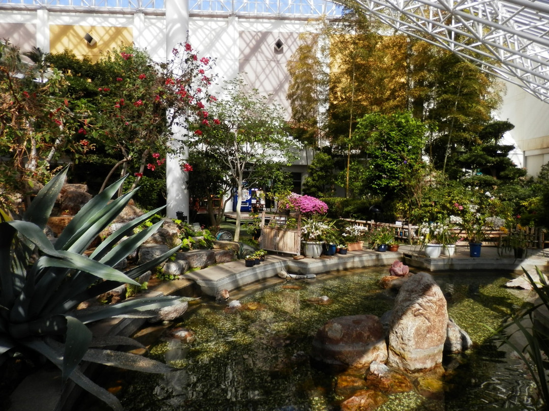 Tomokomai City Sun Garden景点图片