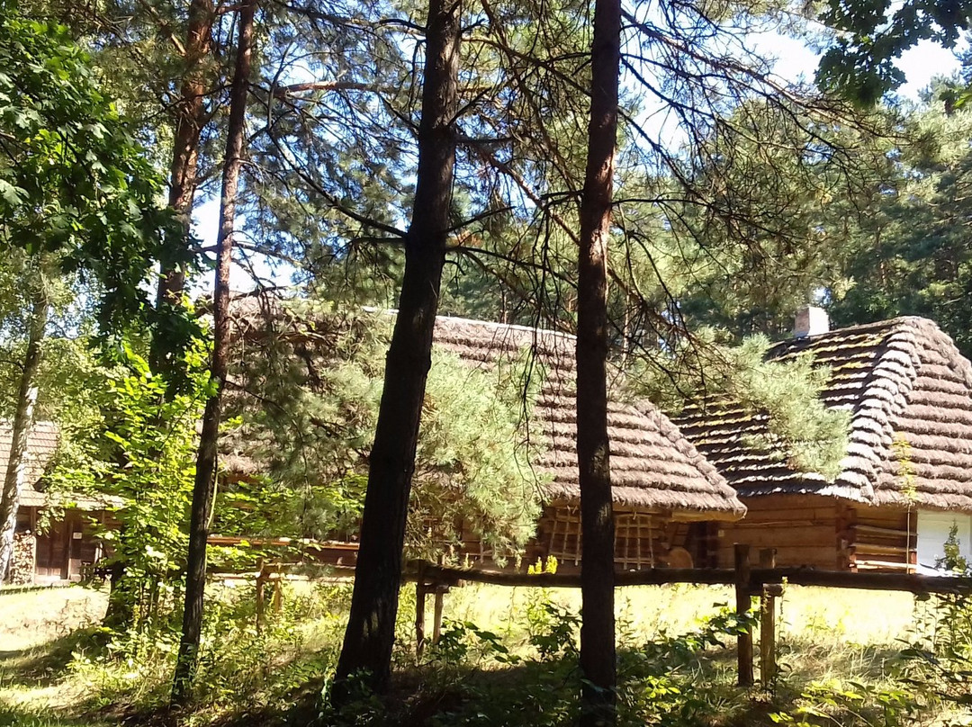 Folk Museum Kolbuszowa景点图片