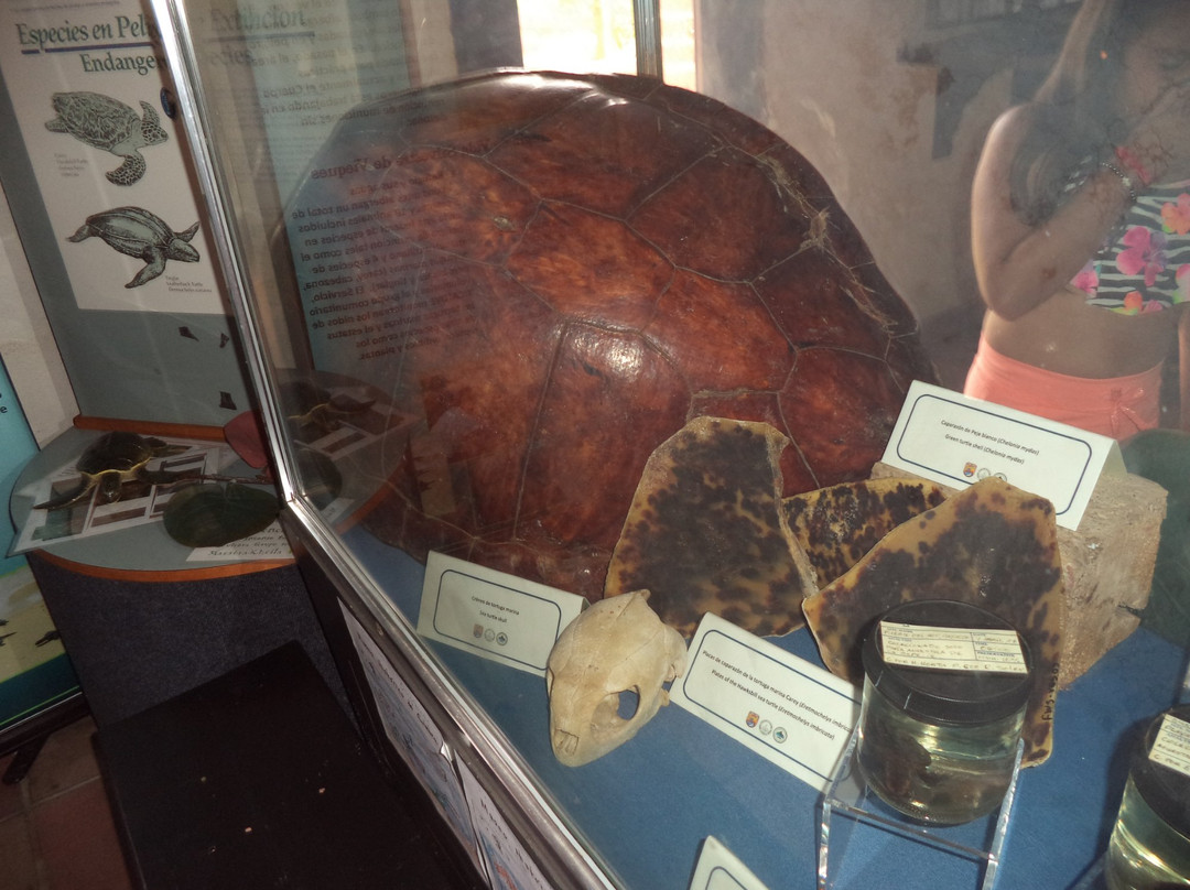 Museum of History-库莱布拉岛必去景点