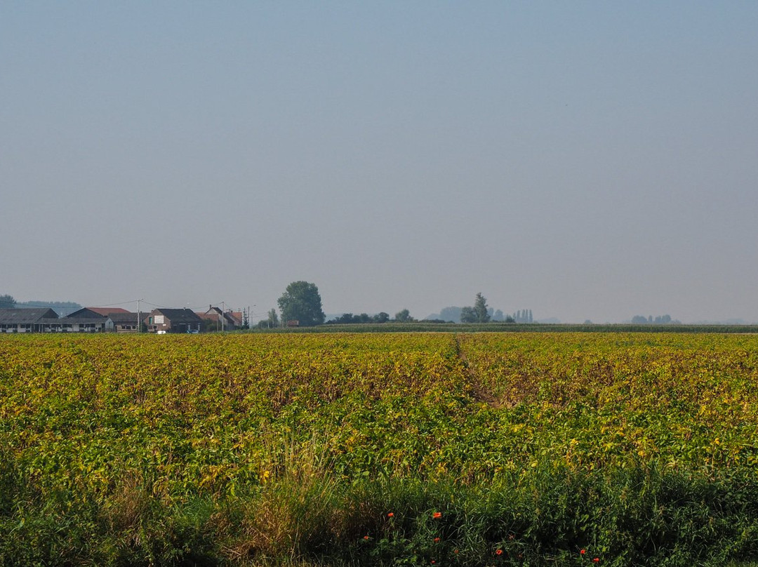 Fromelles and Flanders Battlefield Tours景点图片