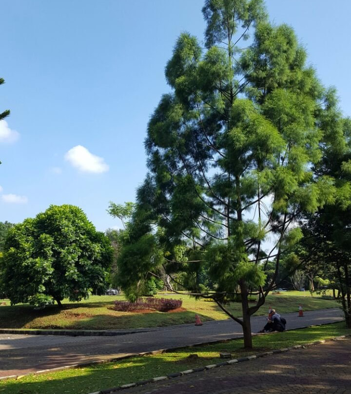 Universitas Indonesia-Depok必去景点