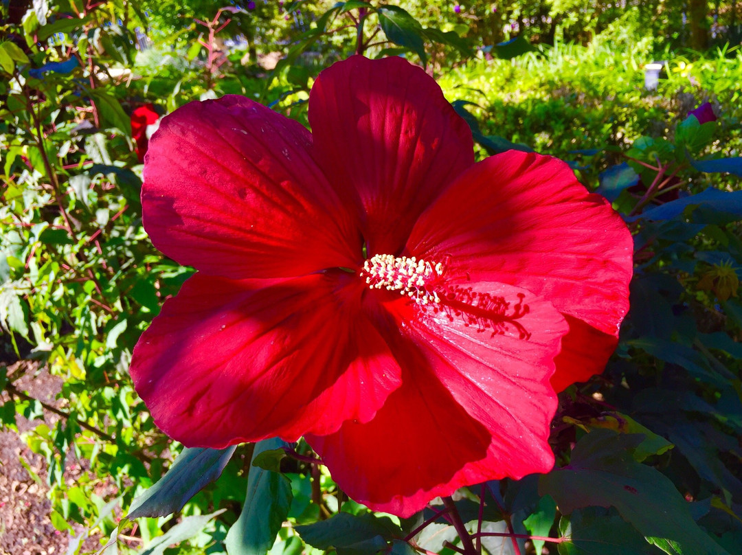 RP Funding Center-莱克兰必去景点