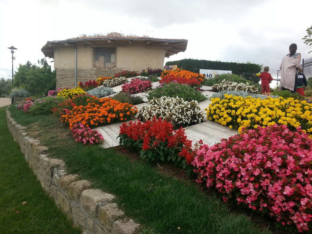 Parque de Los Sentidos景点图片