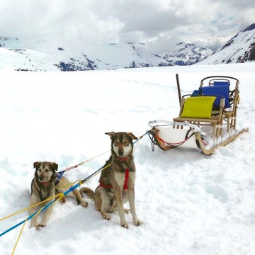 Panhandle Excursions-朱诺必去景点