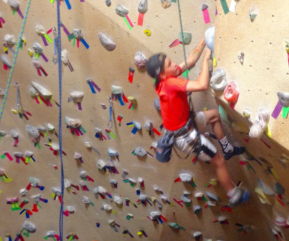 Dogtooth Climbing Gym-戈尔登必去景点