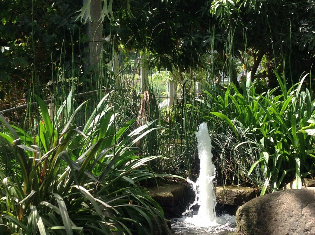 Nicholas Conservatory and Gardens-罗克福德必去景点