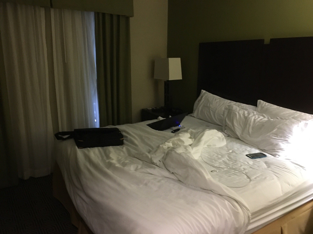 Aragon酒店住宿-Holiday Inn Express & Suites Rome By IHG