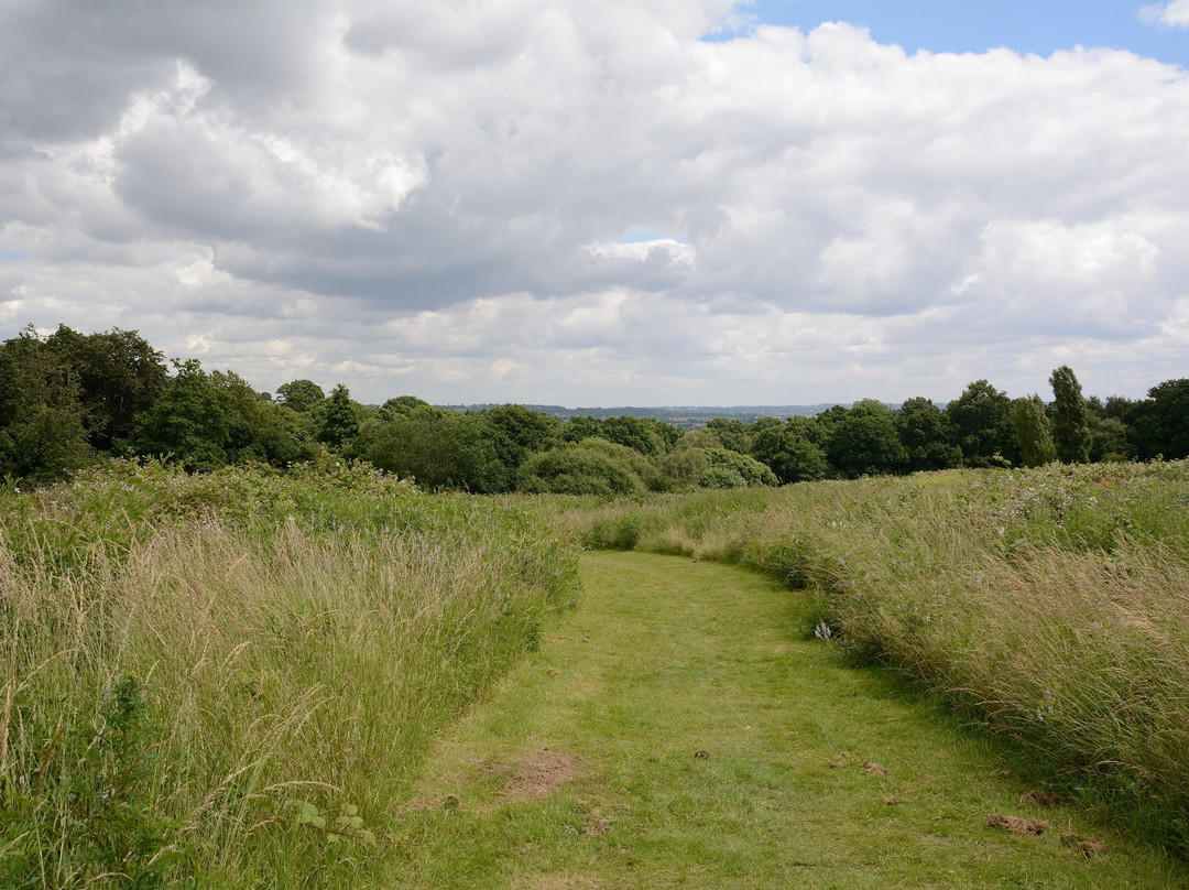 Stanmore Country Park景点图片
