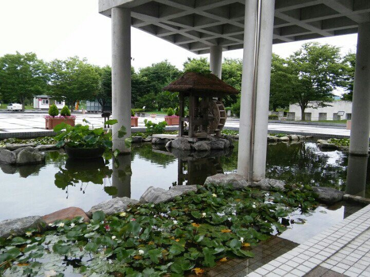 Haman Museum-咸安郡必去景点