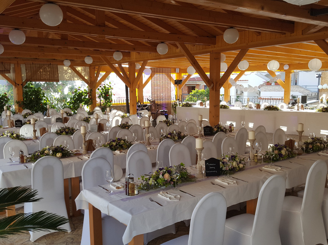 Pansion Dragica主图