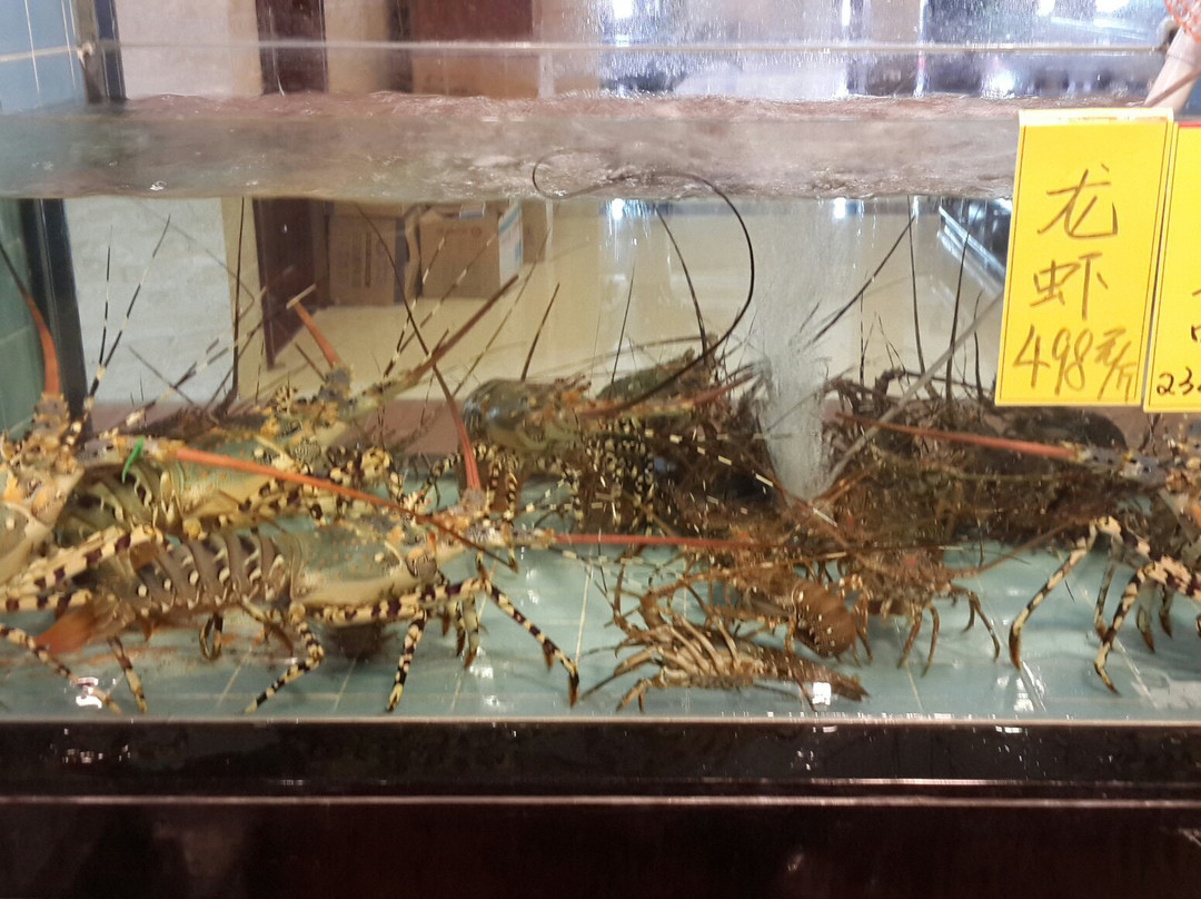 新桥海鲜