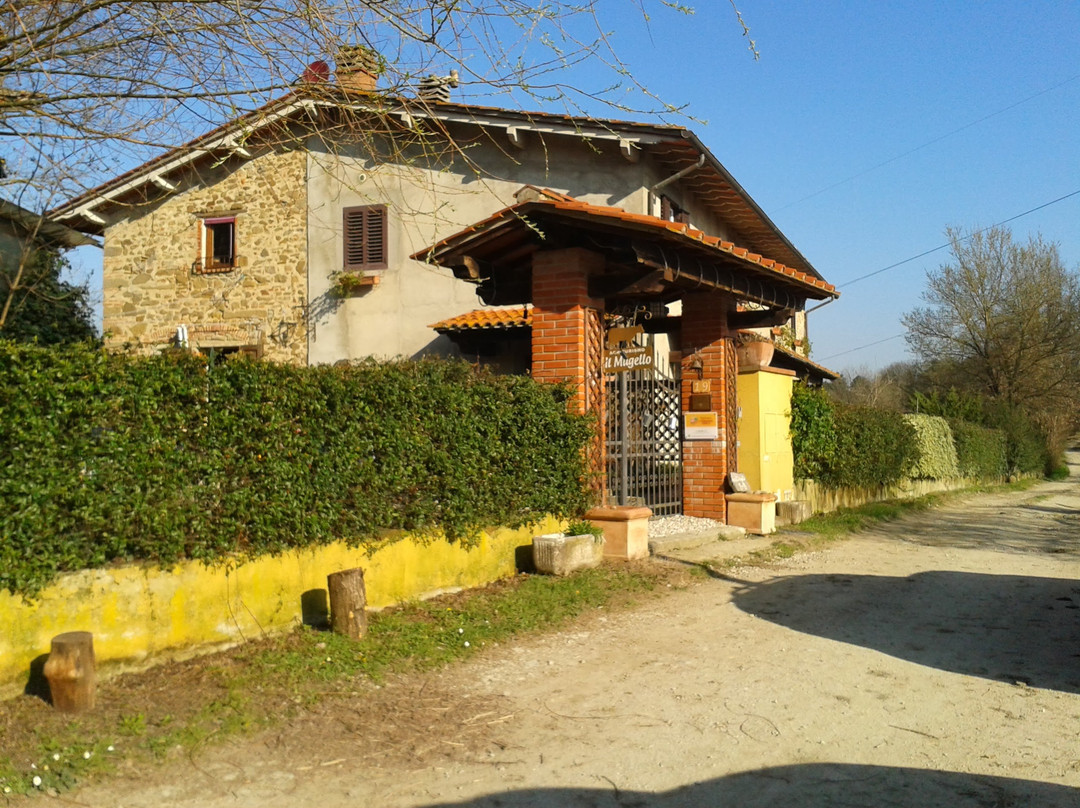 Agriturismo il Mugello