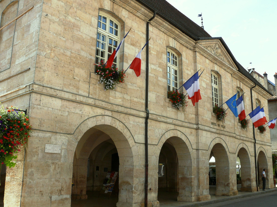 Hôtel de ville d'Ornans景点图片