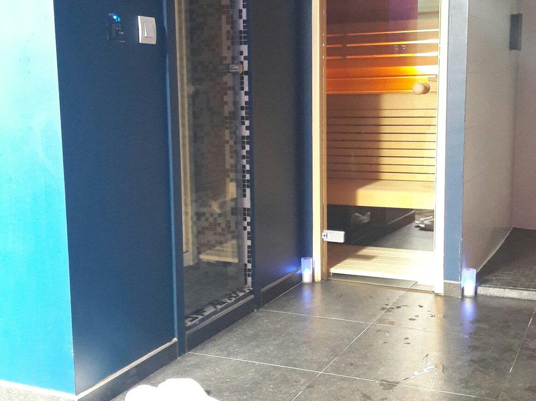 Alter Ego Dream Spa-蒙斯必去景点