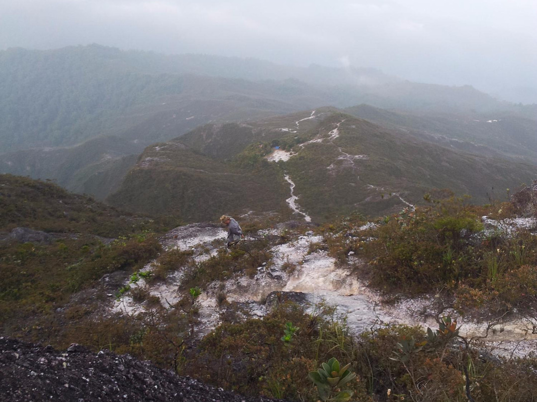 Mount Tahan景点图片