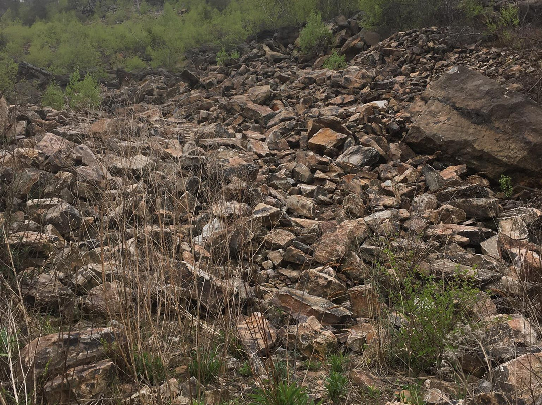 Lehigh Gap Nature Center景点图片