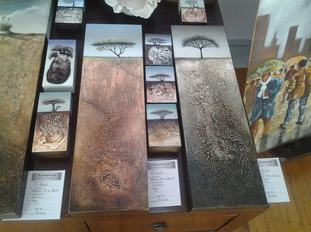 Kunstehuijs Fine Art Gallery-斯韦伦丹必去景点