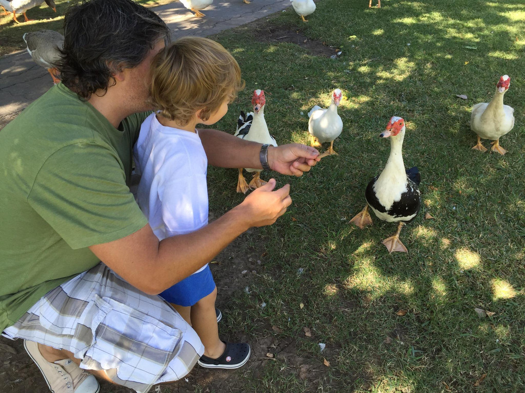La Granja de la Infancia景点图片