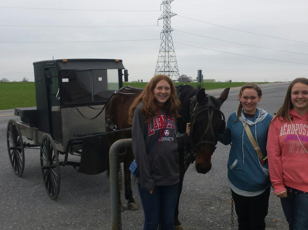 Countryside Road Stand-Ronks必去景点