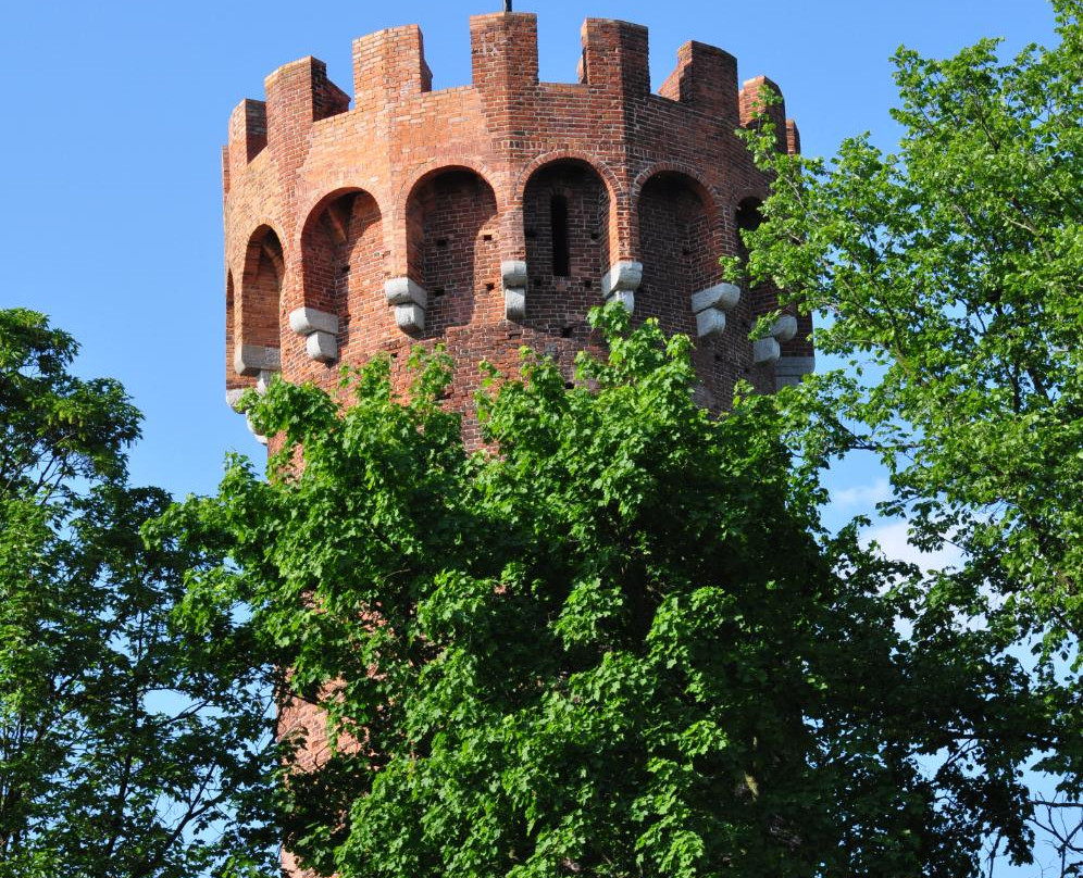 Teutonic Castle景点图片