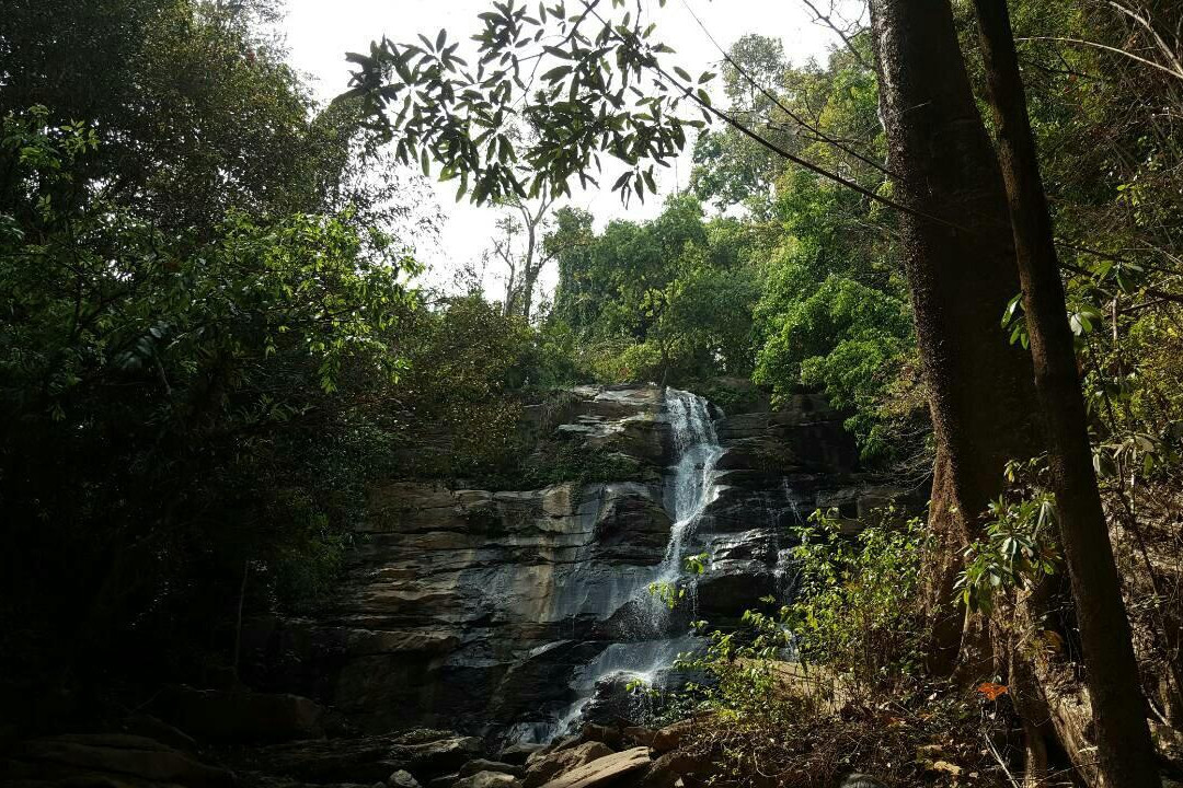 Tard Mork Waterfall-夜林必去景点