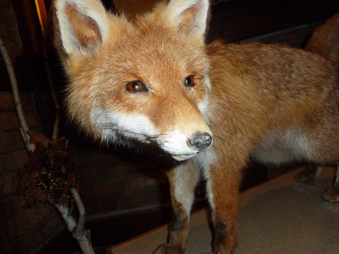 Schweizerhaus Falkenhagen主图