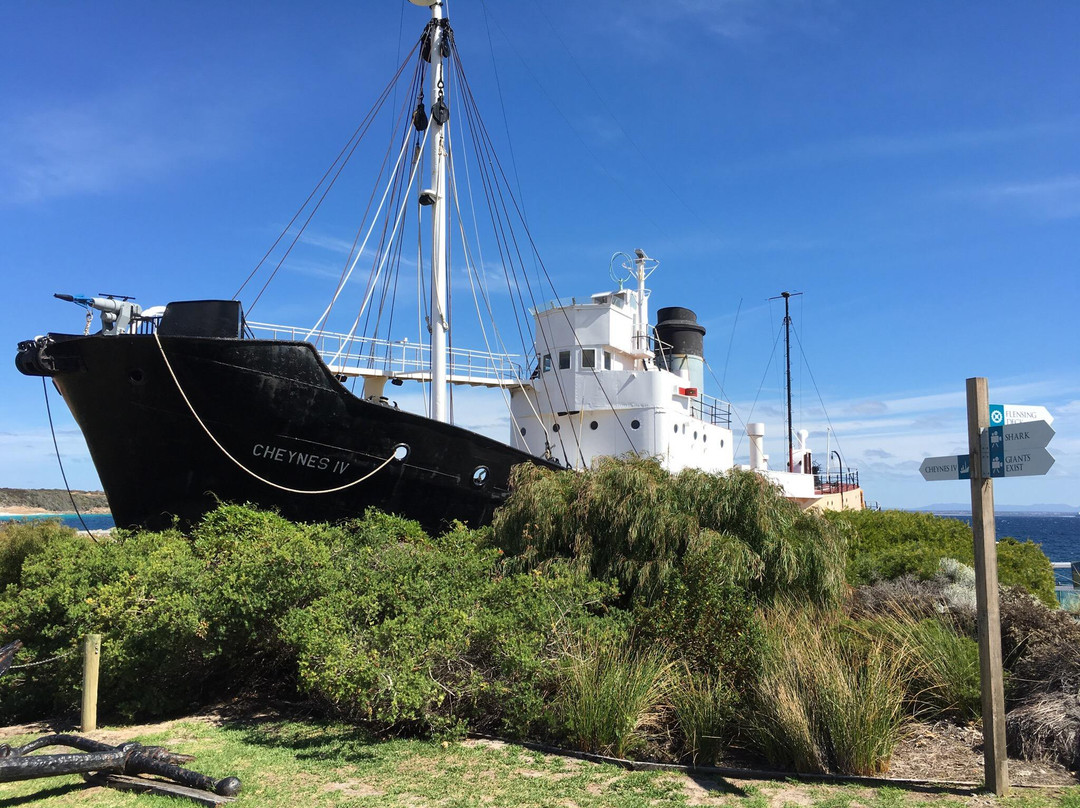 Albany's Historic Whaling Station景点图片