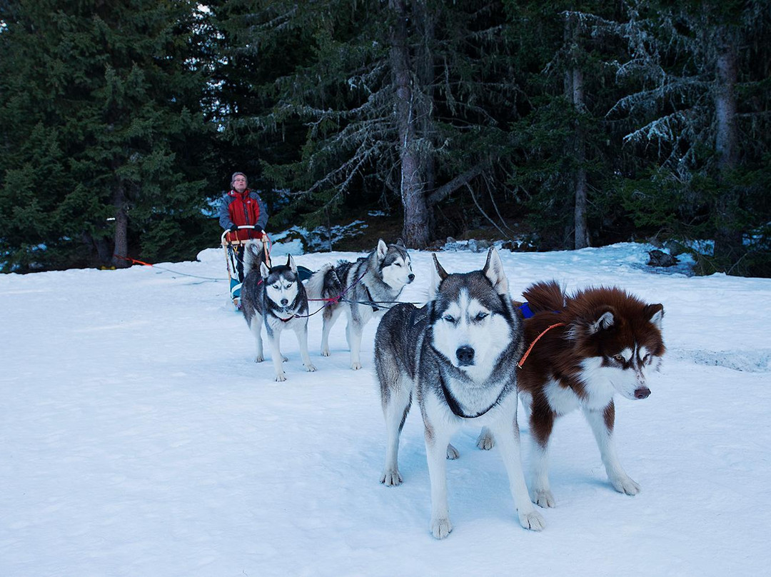 Piste des Inuits景点图片