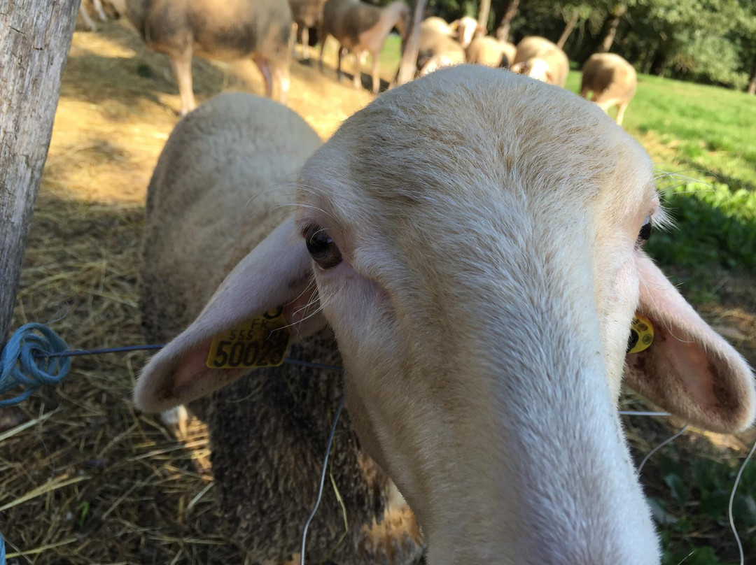 Tondes Bed and Breakfast主图