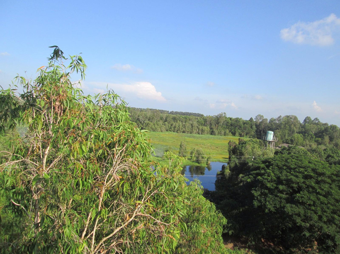 Gao Giong Eco-tourism Park-Cao Lanh必去景点
