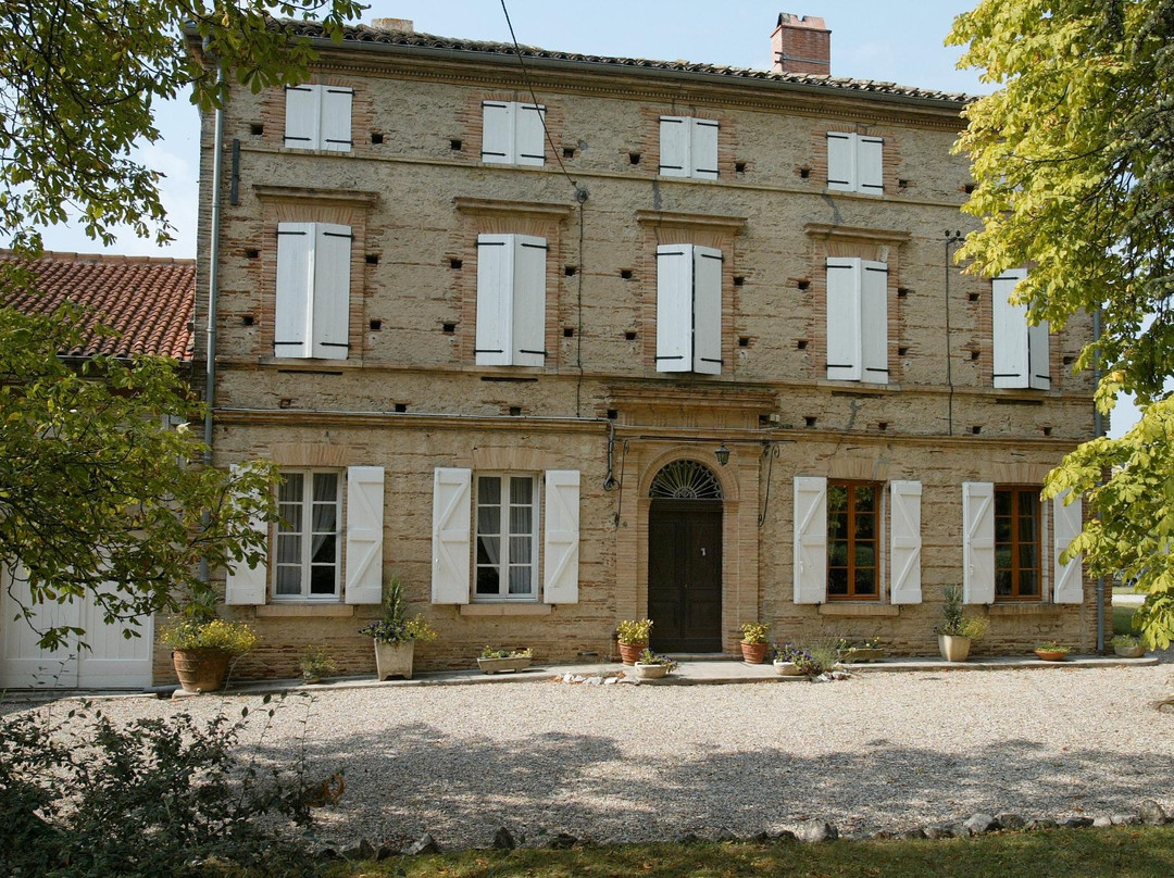 Château Clément Termes景点图片