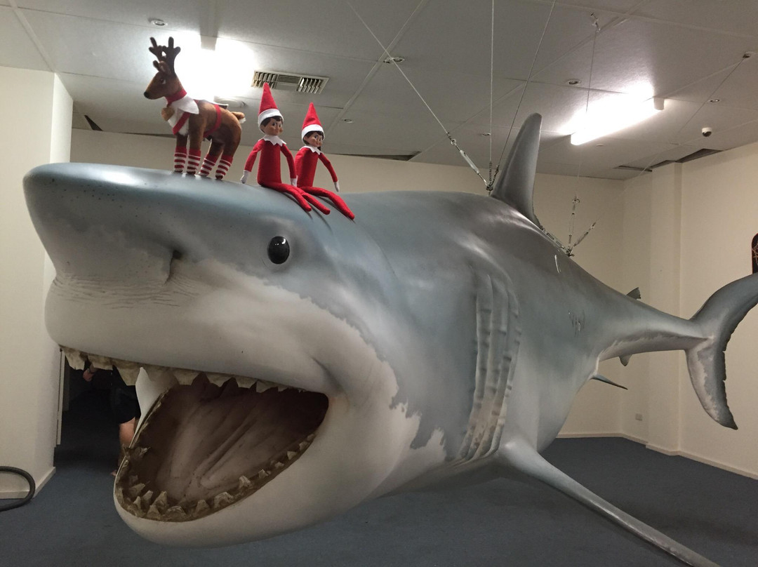 Great White Shark Replica-Streaky Bay必去景点