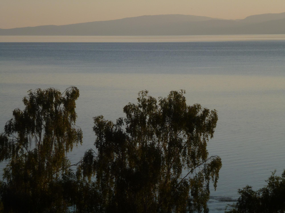 Lake Markakol-East Kazakhstan Province必去景点